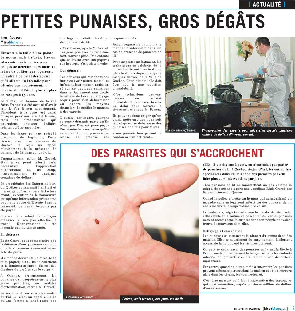 Exterminateur Punaise De Lit Tarif Agréable Médiamatinquébec] Les Punaises De Lit Font Des Ravages  Québec