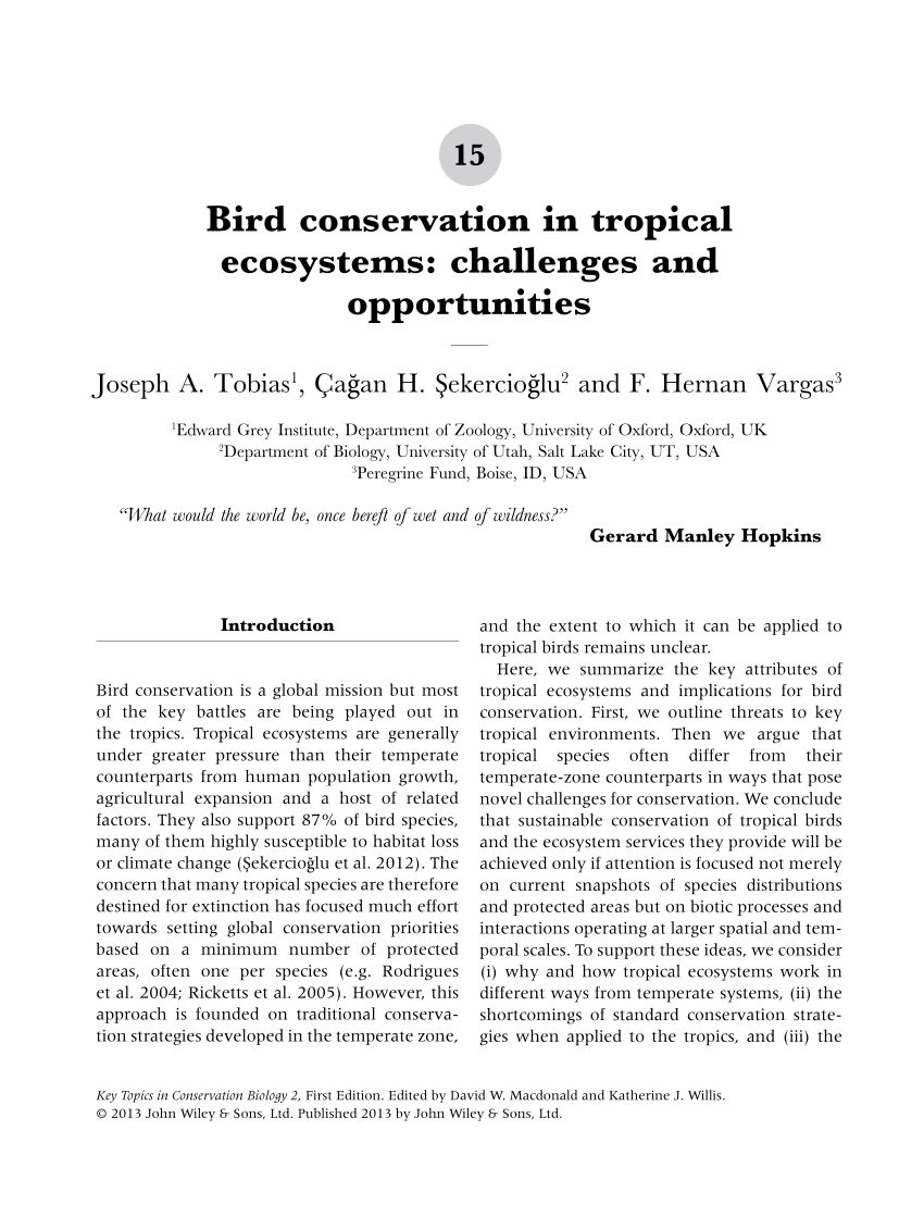 Lit Combiné Bébé Bel Pdf the Importance Of Suboscine Birds as Study Systems In Ecology