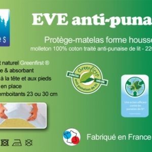 Prevention Punaise De Lit Huile Essentielle Le Luxe Traitement Punaise De Lit Pharmacie Punaises De Matelas Meilleurs