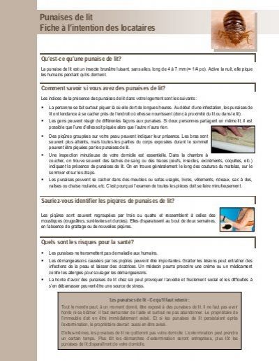Prevention Punaise De Lit Nouveau Punaises De Lit Fiche   L Intention Des Locataires Agence De Santé