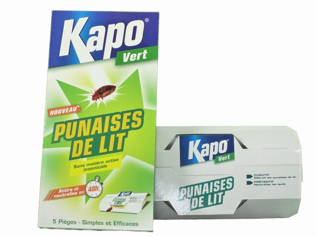Spray Anti Punaises De Lit Nouveau Punaise De Lit Insecticide Housse Intégrale Zippée Anti Punaises De
