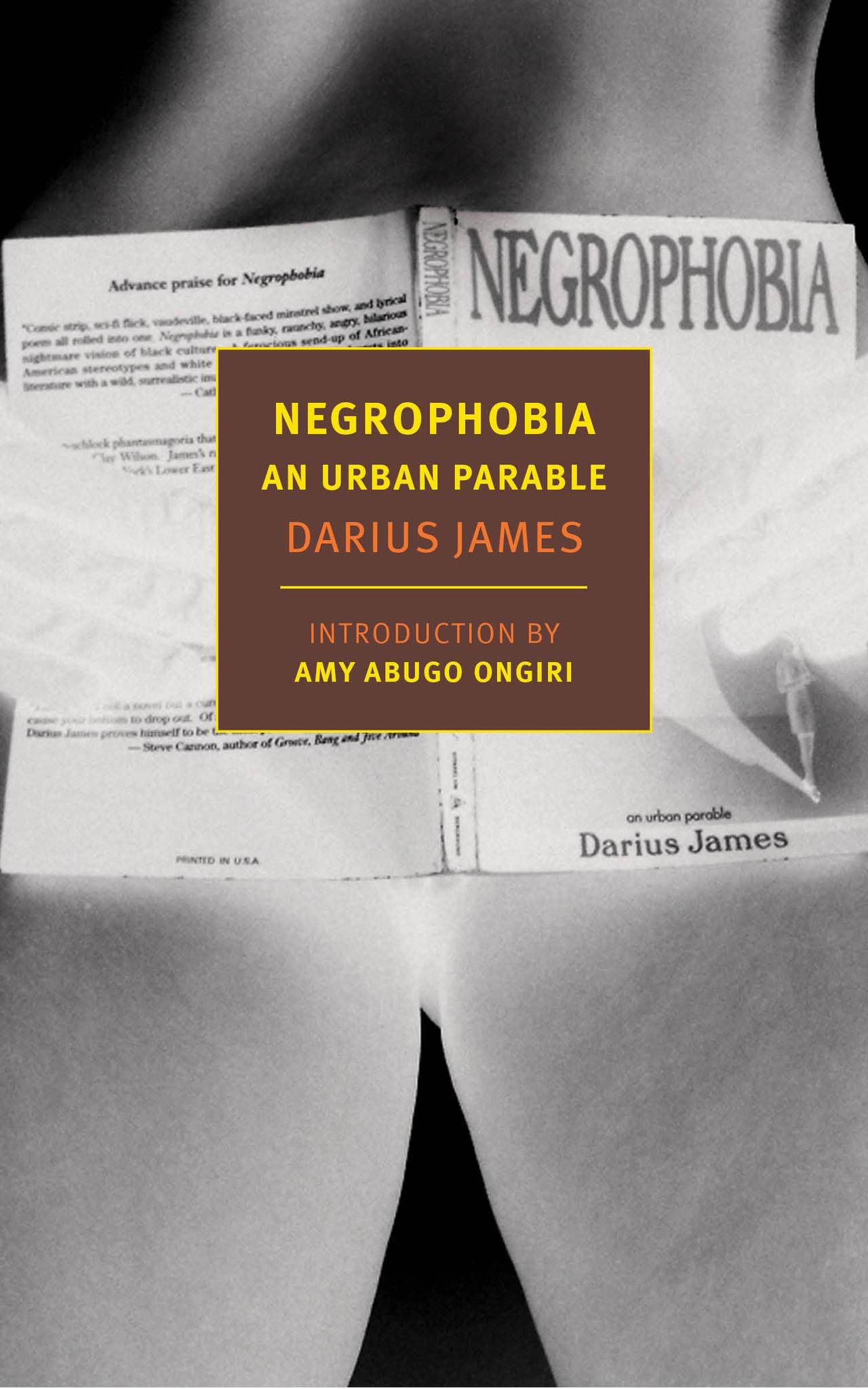 Tour De Lit Avis Génial Negrophobia – New York Review Books